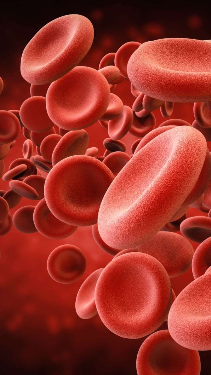 Home Remedies To Increase Your Platelet Count