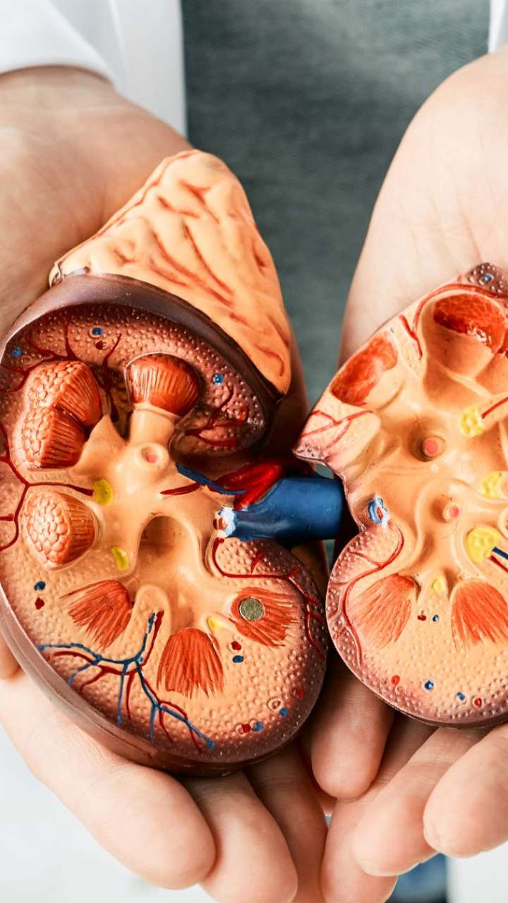 Early Signs Of Kidney Damage You Shouldn’t Ignore